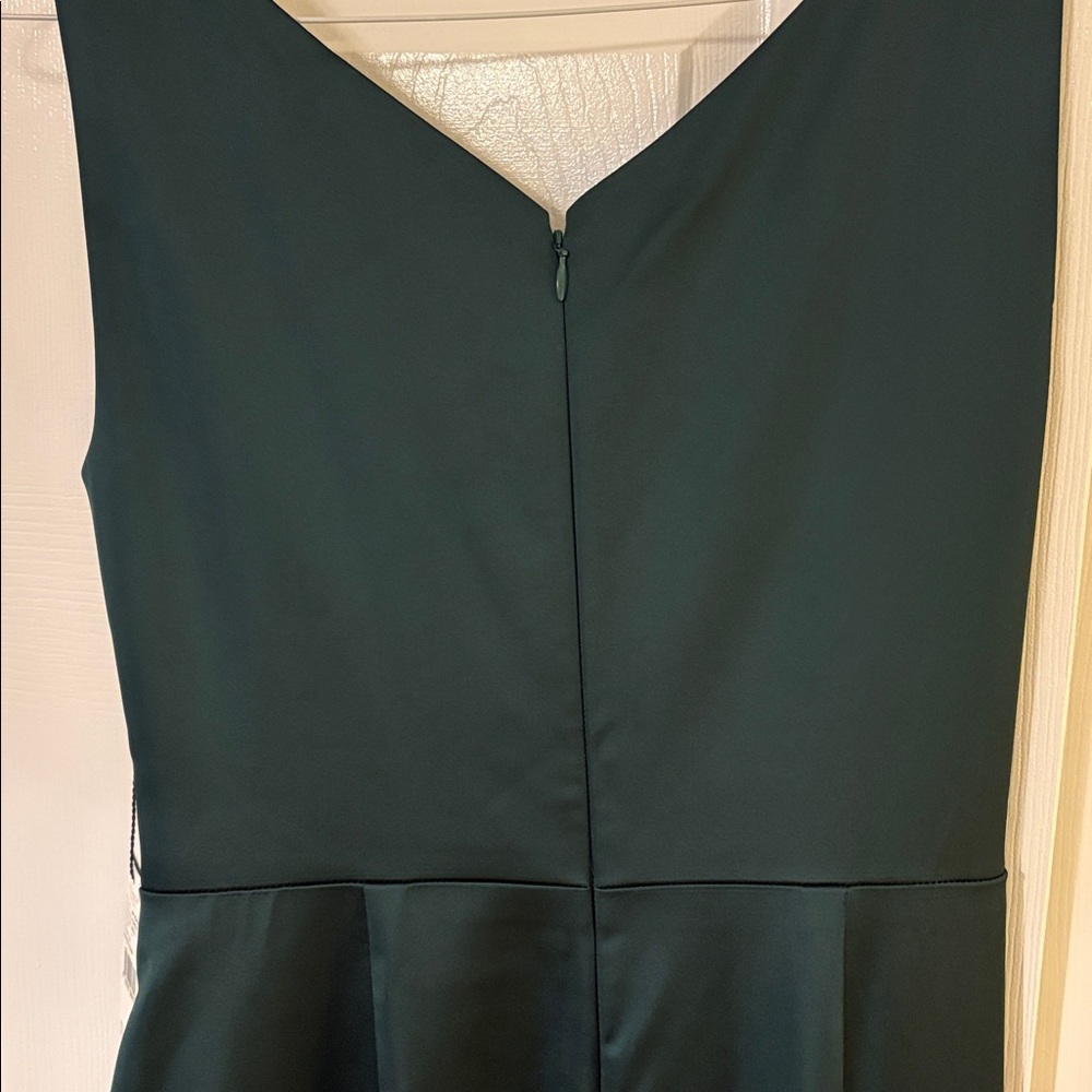 Adrianna Papell Gown - Picture 10 of 11